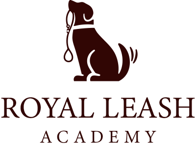 Royal Leash Academy | Köpek Eğitimi