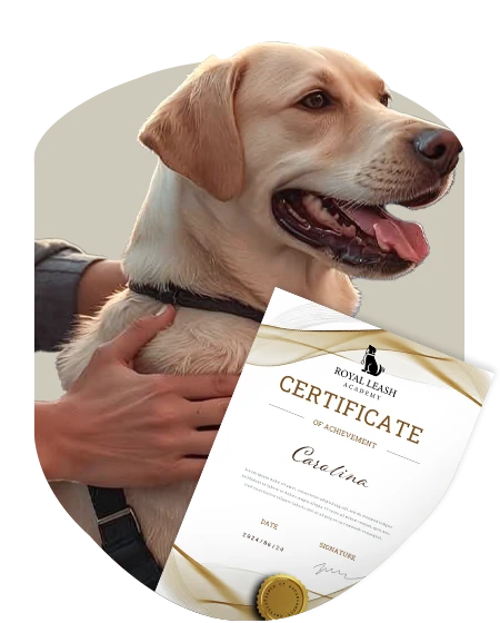 SERTİFİKALI ve ÖMÜR BOYU